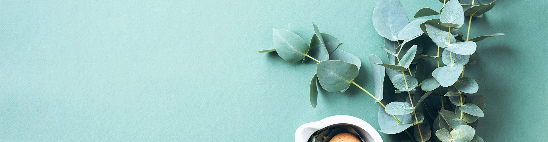Eucalyptus leaves and white mortar, pestle. Ingredients for alternative medicine and natural cosmetics. Beauty, spa concept